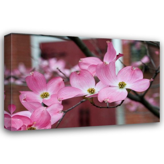 Erin Berzel 18x13 Gallery Wrapped Canvas Wall Art Titled - Dogwood Blossoms II