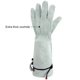 thumbnail image 3 of Moyic Manténgase cómodo y protegido Guantes de jardinería para mujer ajustables y flexibles para cualquier tarea Jardín y Patio, 3 of 6