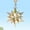 Champagne, variant on Janrevotw 1pc Crystal Snowflake Ornament, 2025 Christmas Gift For Christmas Trees, Car Decorations, Window Hangings, Crystal Decor.