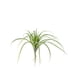 thumbnail image 1 of Planta de aire artificial KALALOU, grande, verde, realista, 1 of 2