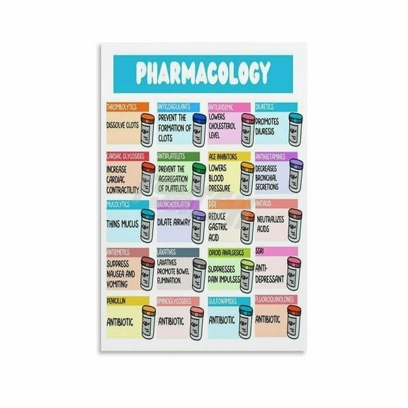 Pharmacology Drug Classes Poster Medical Educational Wall Art (1) Canvas for Bedroom Living Room Decor