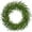 22" Wreath, variant on JEWLALO 16" Real Touch Norfolk Pine Wreath for Front Door Small Artificial Winter Pine Plant Greenery Christmas Wreath for Front Door Window Walls Xmas Decor Indoor Outdoor Home Decoration