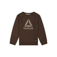 thumbnail image 3 of Reebok Toddler Play Hard Crew and Jogger Colorblock Set, 2-Piece, Sizes 12M-5T, 3 of 6