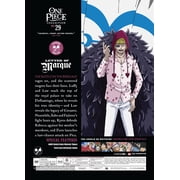 New One Piece: Collection 29 (Blu-ray + DVD)