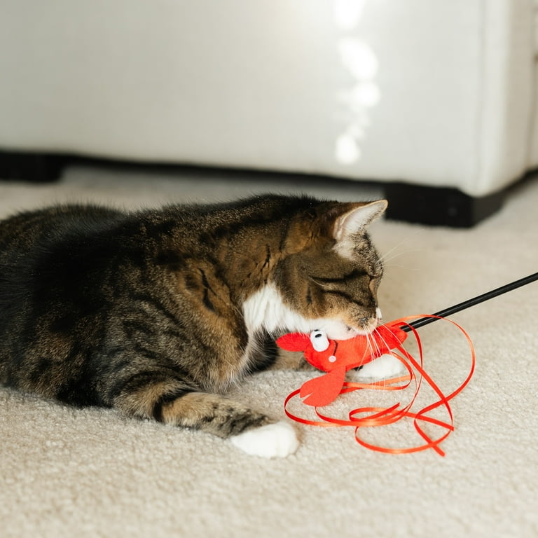Vibrant Life Wiggle Lobster Wand Teaser Cat Toy with Catnip, 18 Vibrant Life Wiggle Lobster Wand Teaser Cat Toy with Catnip, 18