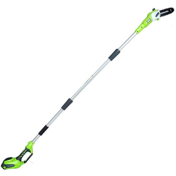 Scie à long manche sans fil Greenworks 40 V, 8,5 po, avec batterie 2,0 Ah et chargeur 1400017