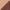 Khaki & Brown, variant on Vomeast Baby Stroller, Foldable Aluminum Alloy Stroller with Reversible, Travel Stroller for Newborn Infant, Brown