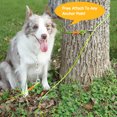 thumbnail image 6 of Petfamily Dog Tie Out Cable, Safe for Medium to Large Dogs, Green, 20FT 90LBS, 6 of 7