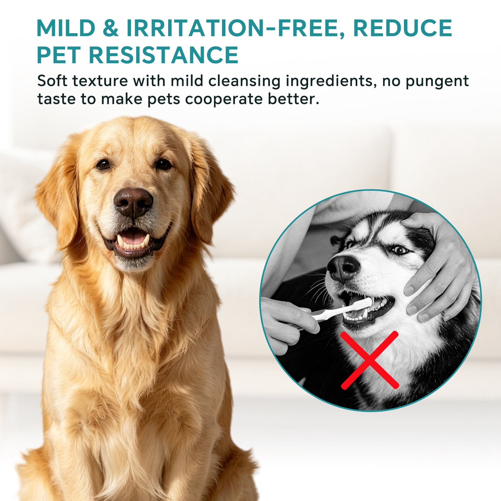 100PCS Pet Teeth Cleaning Finger Wipes for Dogs & Cats, Daily Oral Care Dental Wipes Helps Reduce Plaque Tartar & Freshens Breath, Dog Toothbrush Alternative for Puppies, Kittens & All Breeds, 2 Box