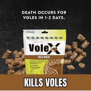 MoleX Mole Killer Bait Pellets for Moles – Poison Free, Pet and Wildlife Safe | Outdoor Use Pellets | 8 oz. Bag - 620204-6D