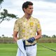 thumbnail image 3 of Fotbe Cute Bee Gnomes Camiseta Polo de Golf para Hombre con Estampado – Camisa Deportiva Transpirable con Cuello Abotonado-4X-Large, 3 of 6
