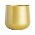 thumbnail image 1 of Brass Toned Round Cactus Plant Pot with Drainage Hole B, 1 of 8