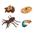 thumbnail image 2 of Fridja 4 Piece Beetle Figure Insect Life Cycle Plastic Brood To Mature Period Educational Toy, 2 of 6