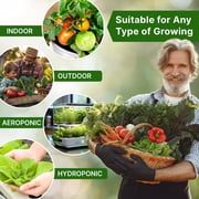 Organo Republic Holy Basil Seeds 0.5 g – 1,400 Non‑GMO Heirloom Basil Seeds – Indoor and Outdoor Herb Seed Packet for Home Garden, Culinary & Medicinal Planting