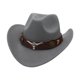 thumbnail image 1 of Sombrero de vaquero, elegante accesorio de disfraz para actuaciones, carnavales, viajes, juegos de rol. Gris, 1 of 9
