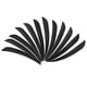 thumbnail image 1 of de flecha de 3.0 in, paletas de flecha de arco de , s naturales de pavo con Negro Cola Flecha Fletchings, 1 of 8