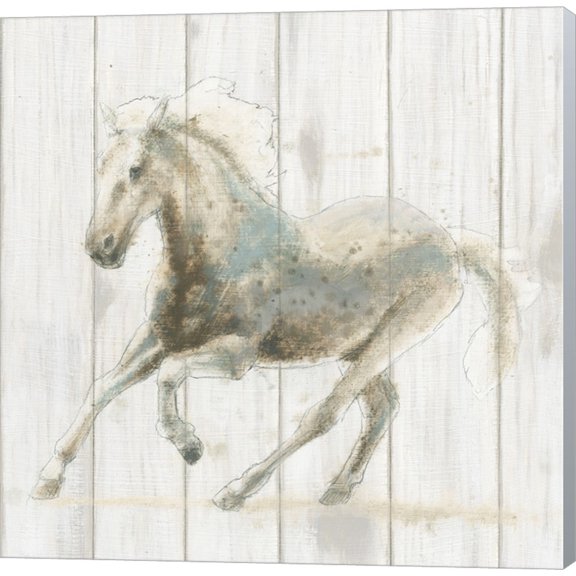 Great Art Now Stallion II on Birch by James Wiens Canvas Wall Art