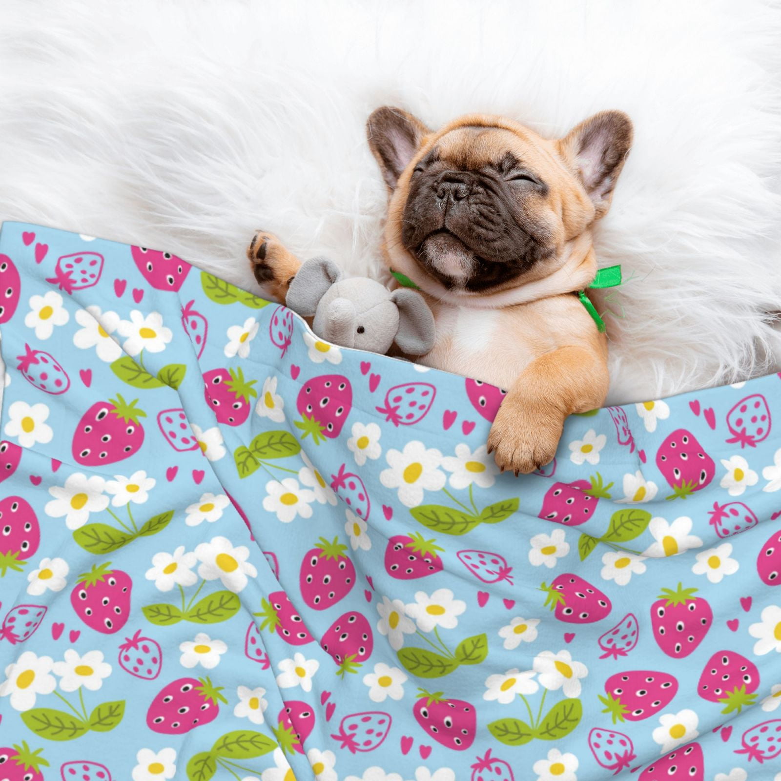 Naloa Strawberry And Flowers Dog Blanket, 3 Sizes Cat Blanket for Indoor Cats Large Medium Small Dog Gifts-Large