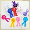 thumbnail image 4 of Uxcell Blank Award Ribbon 1st Place Ribbon Winner Prize Medal Recognition Participation Ribbons for Party Competition Red/White/Blue, 4 of 7