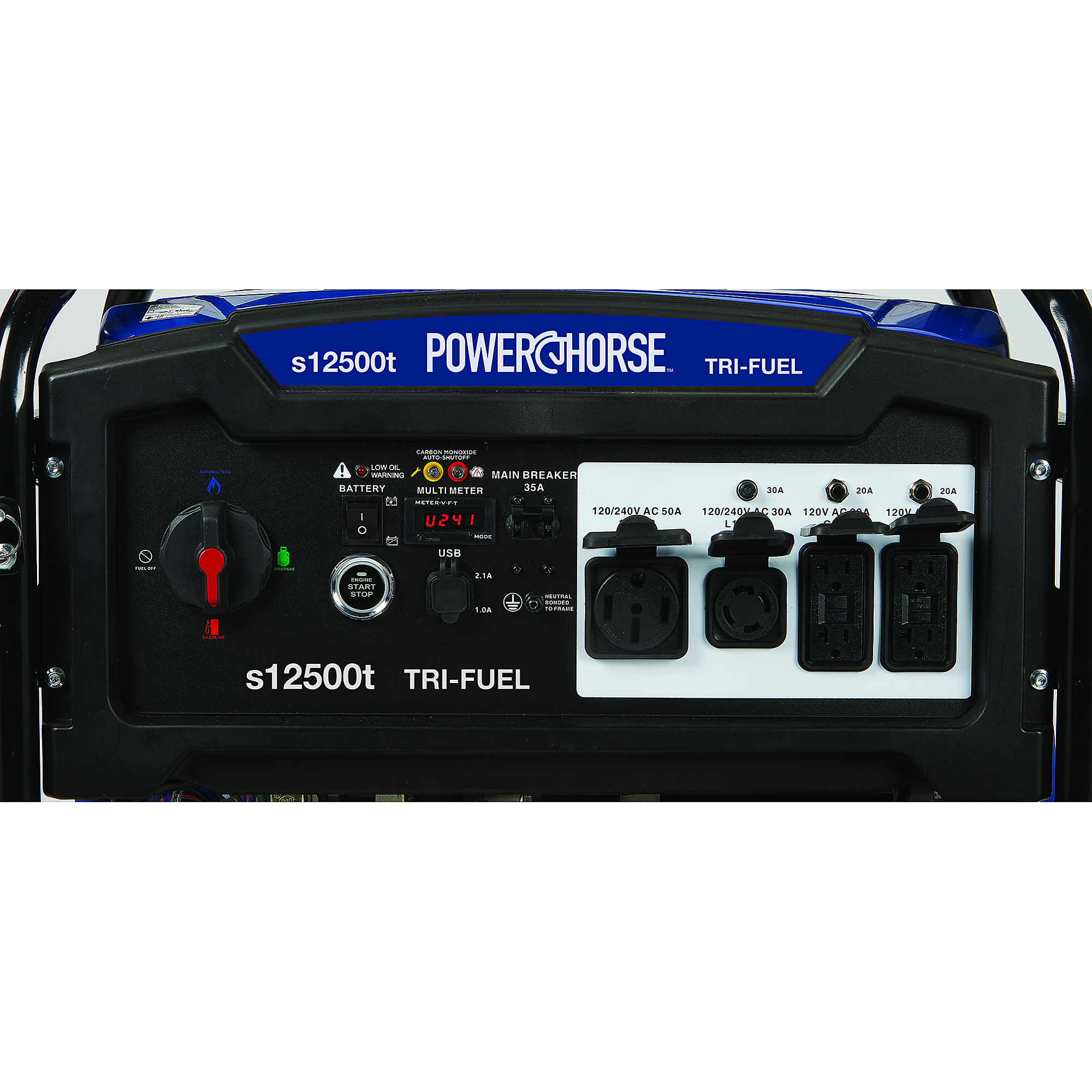 Powerhorse Portable Tri-Fuel Generator with Electric Start, 12,500 Watts