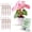 Begonia Red, variant on Twigs Ga Stackable Plant Support Monstera Green 5 Pack 17"