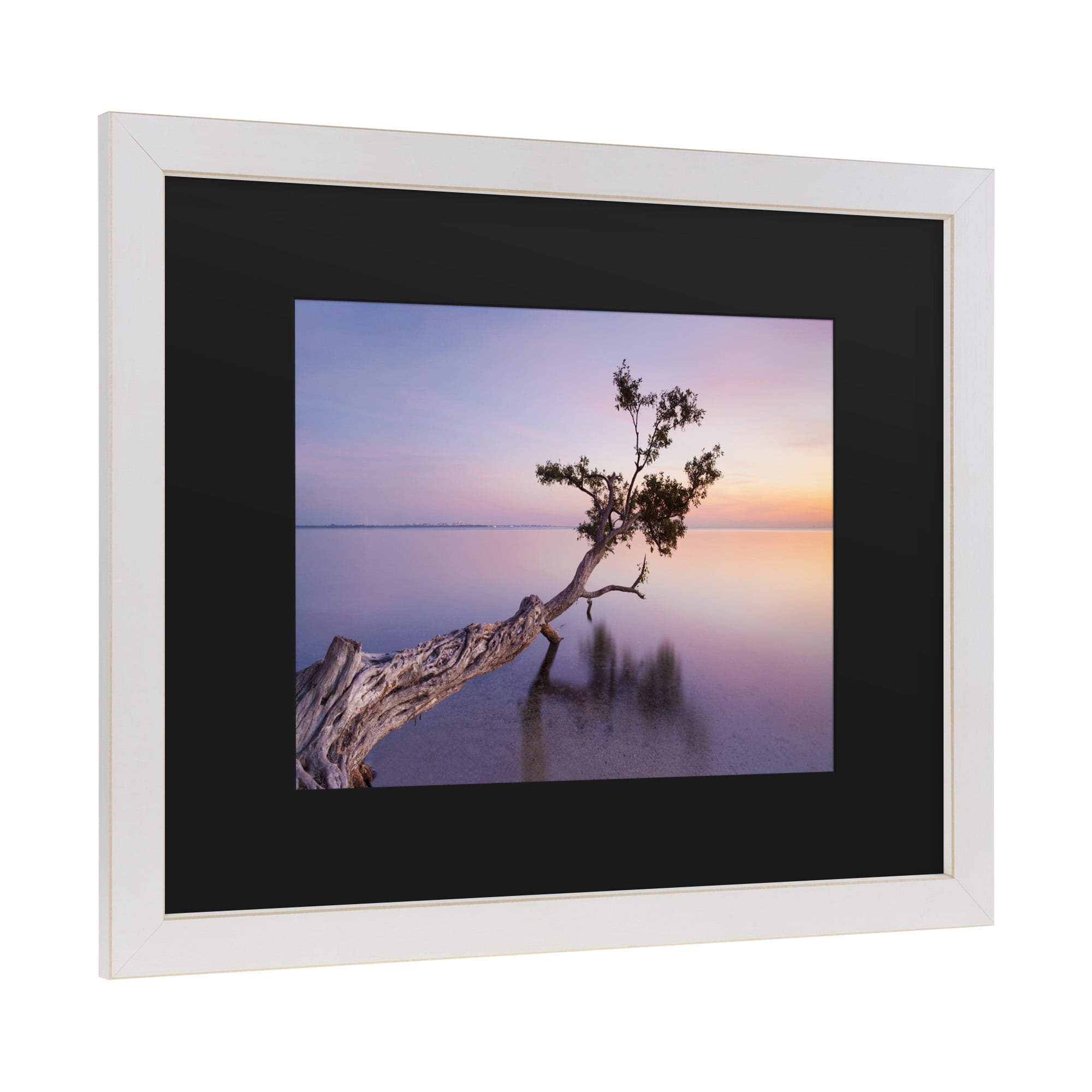 Moises Levy 'Water Tree Xv' Matted Framed Art