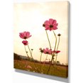 thumbnail image 2 of Champ de Fleurs Cosmos en Fleurs - Impression sur Toile Florale, 2 of 3