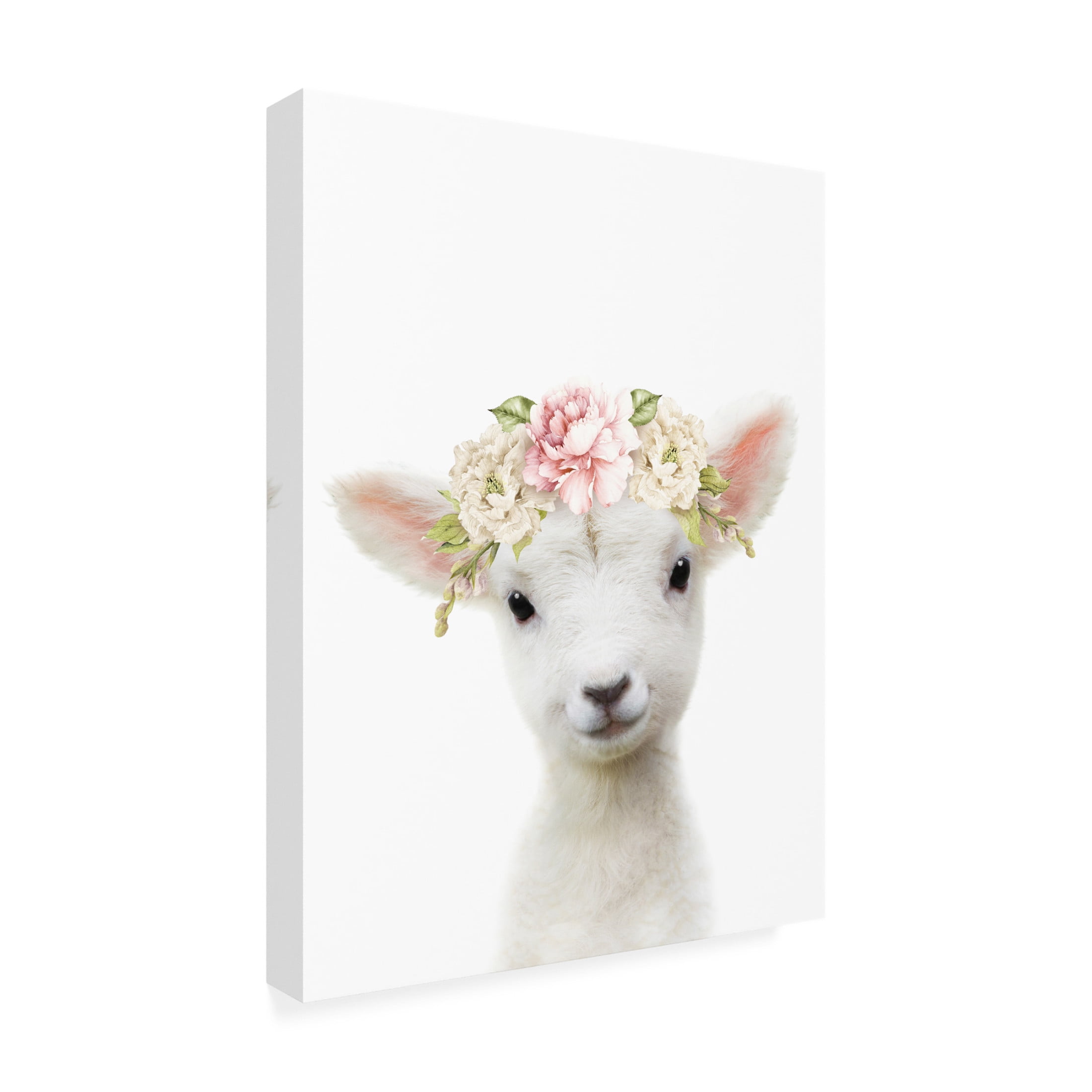 Trademark Fine Art Lola Peacock  Floral Baby Sheep Canvas Wall Art