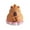 A, variant on hejhncii Capibara Money Banks,Piggy Banks,Unbreakable Plastic Coin Banks,Saving Money Box