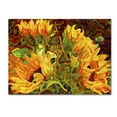 thumbnail image 2 of Trademark Fine Art "Four Sunflowers" Canvas Art by Mandy Budan, 2 of 4