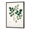 thumbnail image 3 of Designart 'Ancient Plant Life XI' Farmhouse Framed Canvas Wall Art Print, 3 of 5