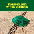 thumbnail image 6 of Raid Outdoor Liquid Ant Bait, Starts Killing Listed Ants Within 24 Hours, Effective Outdoors, Pre-Filled and Ready-To-Use, 8 Bait Stations Per Pack, 2 fl oz, 6 of 13