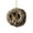 D, variant on LIOAHP 2D Acrylic Wild Animal Pendants Set – Cute Forest Themed Tree Ornaments for Home Decor, Kids Room, Nursery, and Nature Inspired Wall Hanging Collection,E