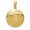 Yellow, variant on 14K Yellow Gold Soccer Ball Pendant