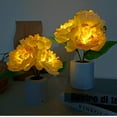 thumbnail image 6 of LINLIN Desk Lamp LED Peony Flower Night Light Artificial Flower Lamp with Vase,Table Lamp Ornaments Living Atmosphere Light Room Desktop Decor for Home Table Centerpieces,Night Lamp,Gift, 6 of 9
