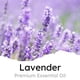 thumbnail image 2 of Ambientador para coche, aroma a lavanda, 6 clips de ventilación, 2 of 7