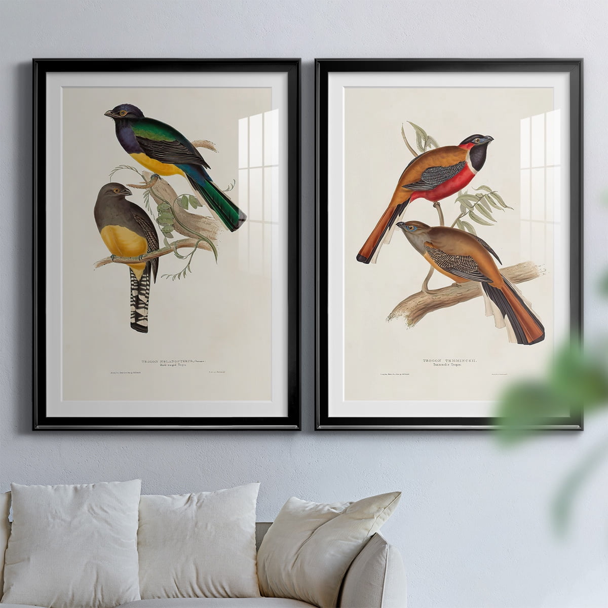 Wexford Home Elegant Trogons III Premium Framed Print, 30.5" x 42.5" - Ready to Hang, Black (Set of 2)