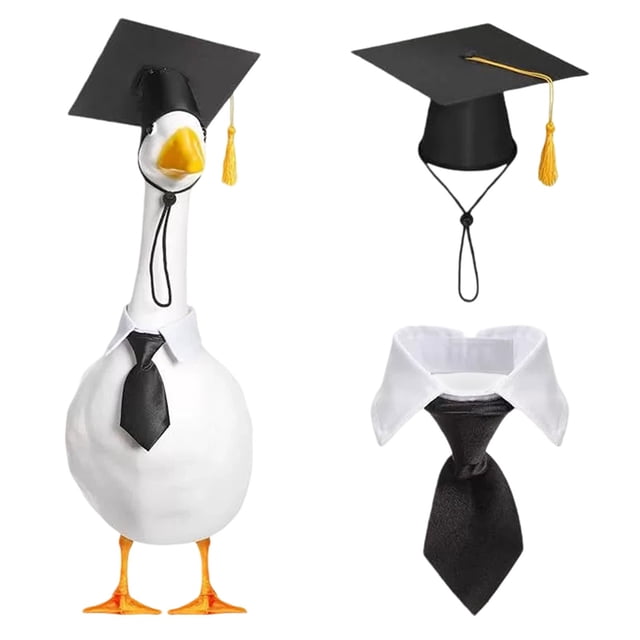 Graduation for Featuring a Big White Goose Design with Black Hat and Bow Tie