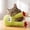 B, variant on Catnip Plush Cat Chew Toys,Crafted From Thick Bumpy Bubble Plush Fabric with Raised Grain Surface To Satisfy Cats’ Natural Chewing Desire,Full Perimeter Reinforced Lock Stitching