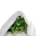 thumbnail image 3 of TABLZONE Anti Freeze Non Woven Cover for Tender Plants and Shrubs White 1Pack, 3 of 6