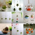 thumbnail image 2 of Hanging Ball Glass Flower Planter Vase Terrarium Container Landscape Bottle, 2 of 5