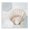 Seashell Circle Pattern_v1, variant on Stupell Industries Coastal Starfish over Circle Pattern Black Floating Frame Canvas Art, 18 x 18, by Patricia Pinto