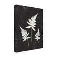 thumbnail image 2 of Moira Hershey 'Forest Shadows IV Black Crop' Canvas Art, 2 of 3