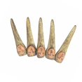 thumbnail image 1 of Bewildely 5 uds cubierta de dedo de simulación de Halloween cara de uñas accesorios de disfraz de miedo decoración de fiesta de maquillaje Kits de decoración para fiestas cara humana Bewildely HA000181-04B, 1 of 4
