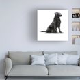 thumbnail image 2 of The Macneil Studio 'Black Lab' Canvas Art, 2 of 4