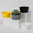 Flower Buckets for Cut Flowers Display Window Boxes for 20 Mini Vase