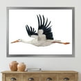 thumbnail image 3 of Designart 'White Stork Ciconia Flying Bird ' Traditional Framed Art Print, 3 of 4