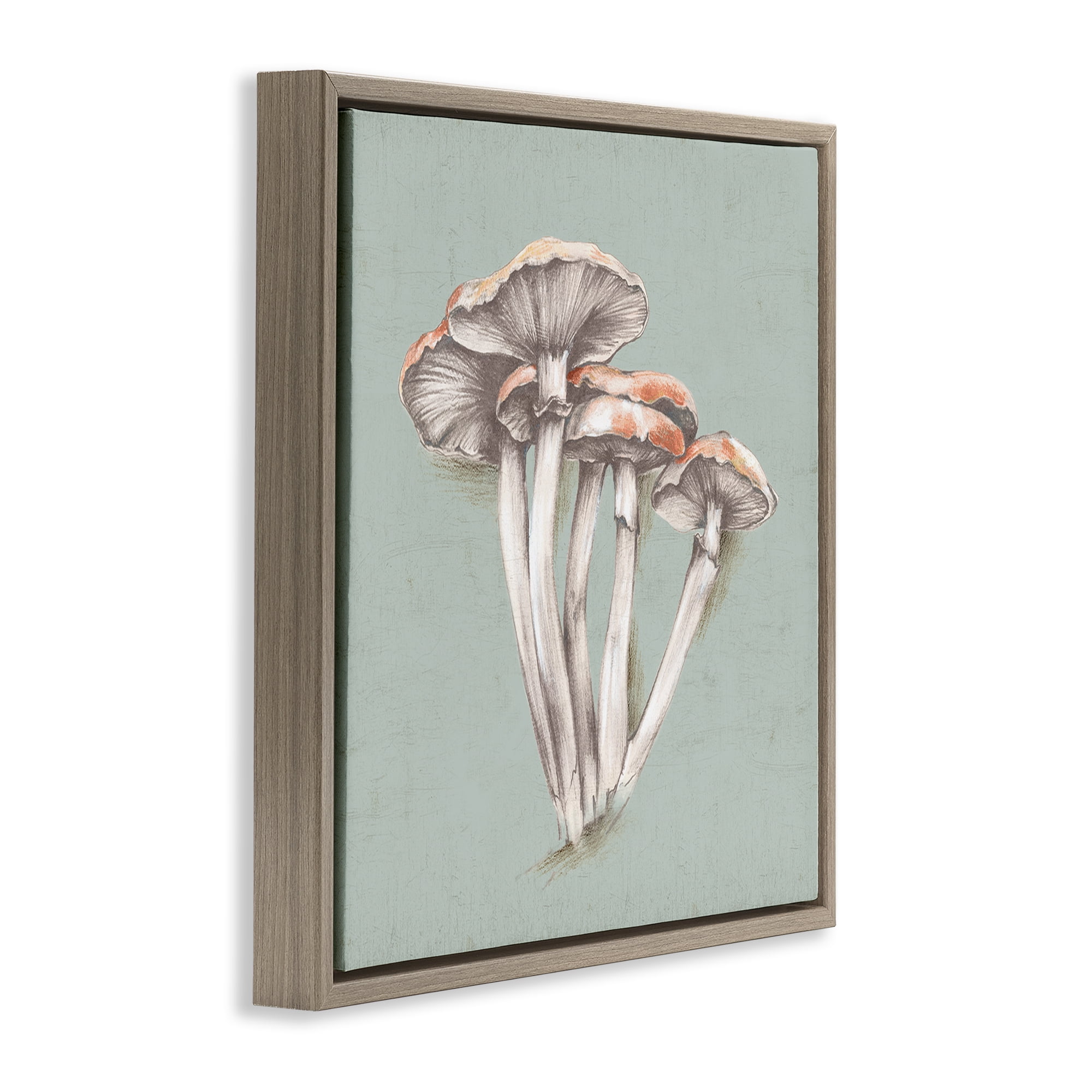 Stupell Industries Mushroom Bundle Drawing Plants & Flowers Painting Brown Floater Framed Canvas Art Print Wall Art, 18 x 18