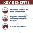 thumbnail image 4 of Forza10 Actiwet Dermo Wet Dog Food, Canned Fish Flavor, for Skin Health, 3.5 oz, 32 Case, 4 of 13