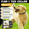 thumbnail image 2 of Oimmal Collar for Dog and Puppy, 6*4 Months Protection, 19inch Adjustable, Waterproof, Natural Ingredients, 4 Collars - Black, 2 of 10